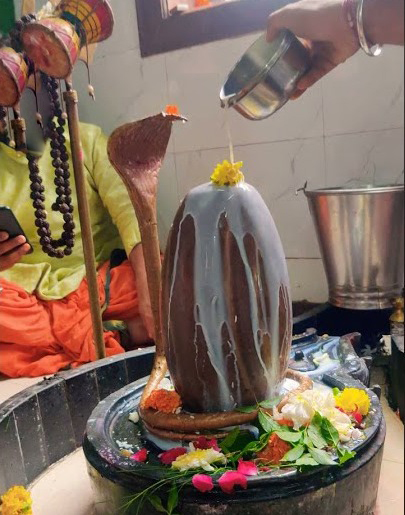 Rudrabhishek Puja Cost at Trimbakeshwar